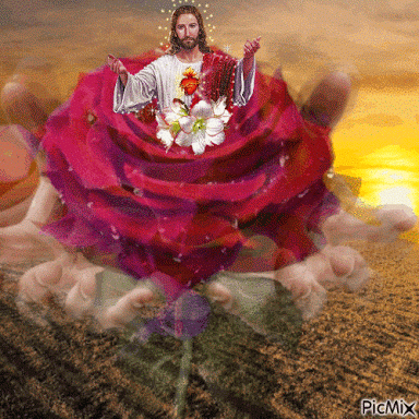 Imagem_0023.gif